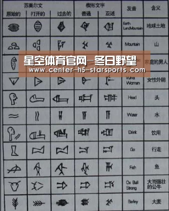 星空体育官网