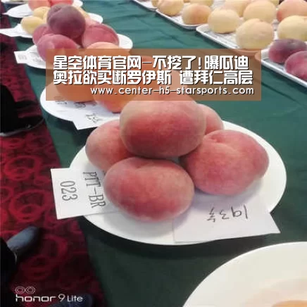 星空体育网址